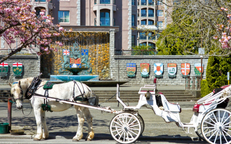 experience-the-elegance-of-victoria-with-a-heritage-carriage-ride-800x500-1699009041.jpg